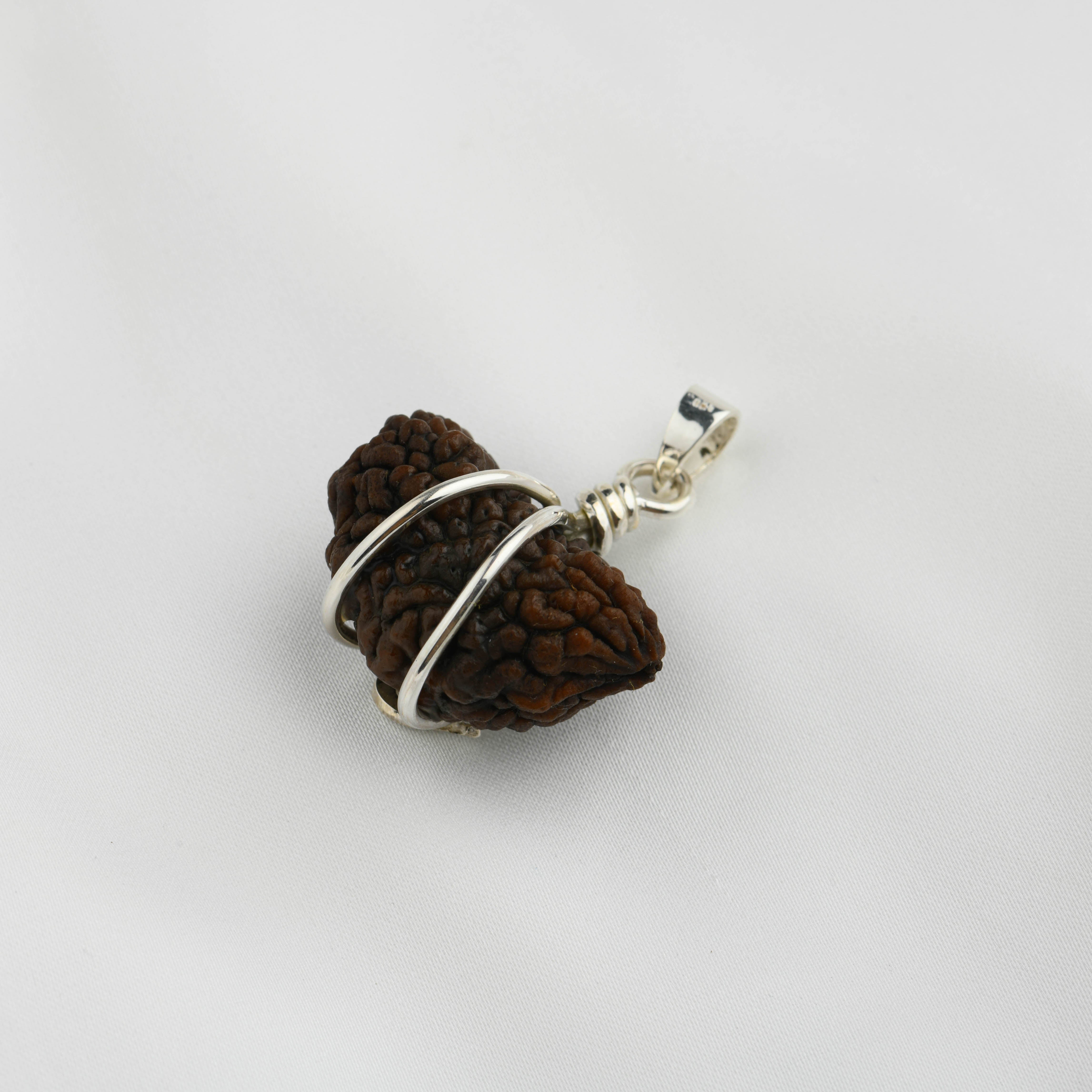 Ek Mukhi Natural Himalayan Rudraksha Om Silver Pendant