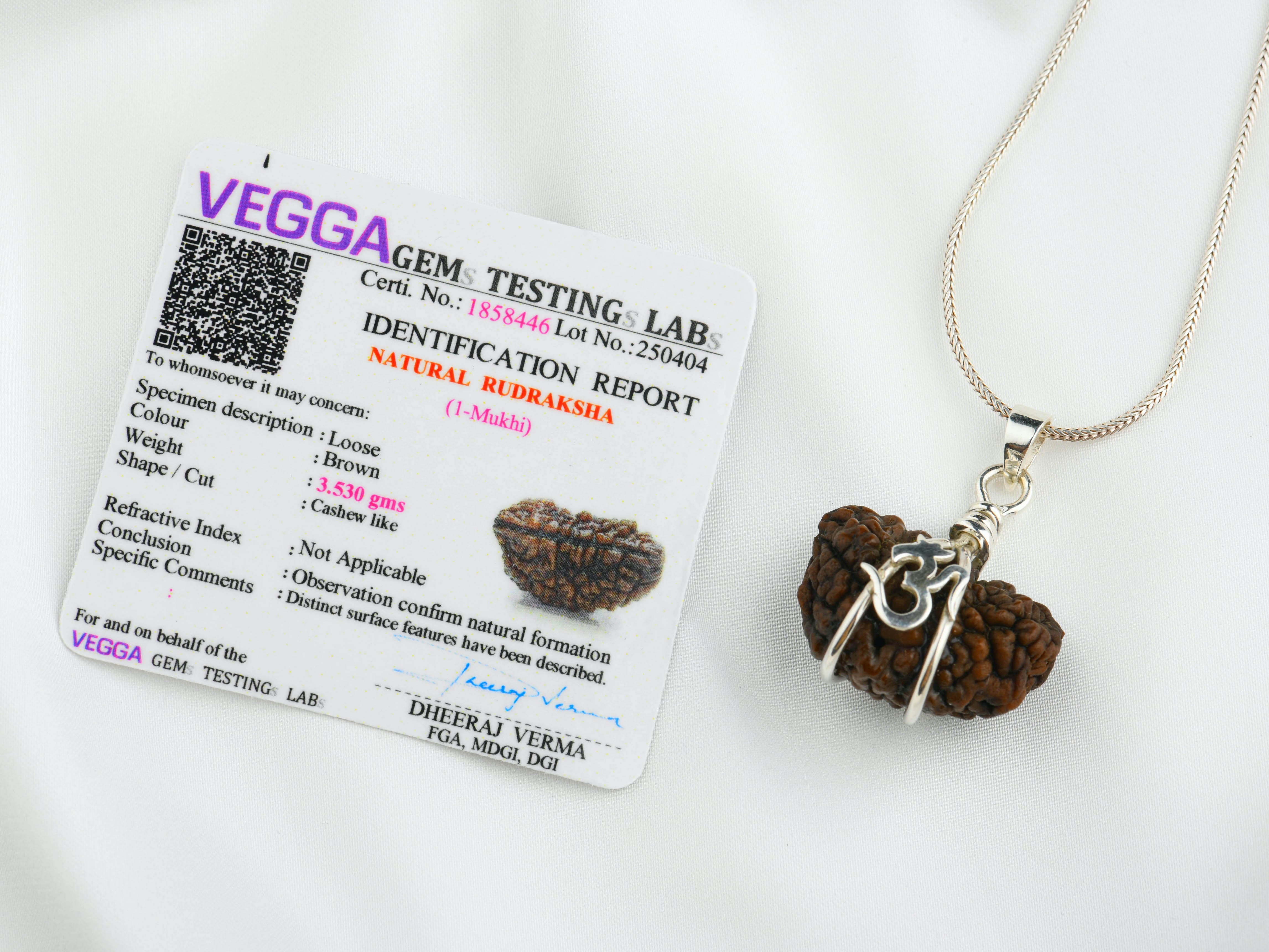 Ek Mukhi Natural Himalayan Rudraksha Om Silver Pendant